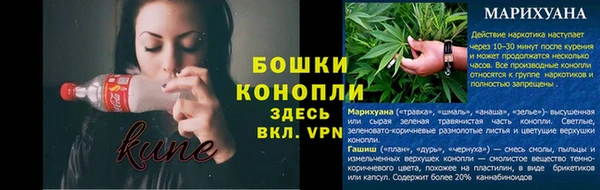 стаф Лихославль