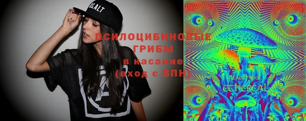 шишки Куйбышев