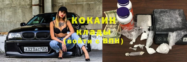 шишки Куйбышев