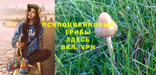 индика Липки