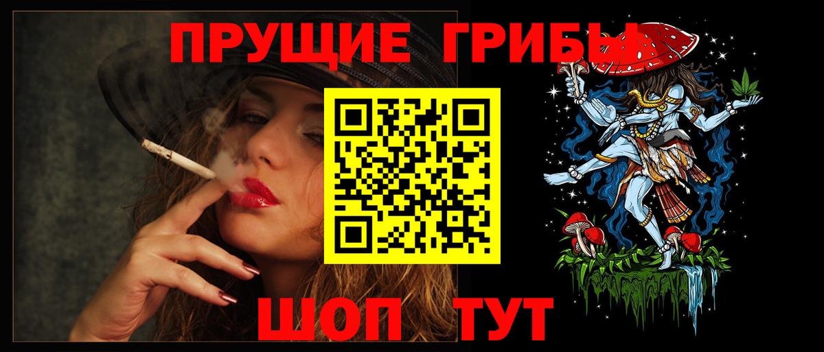 Псилоцибиновые грибы GOLDEN TEACHER  Псилоцибиновые грибы прущие грибы  Морозовск  Вход с VPN 