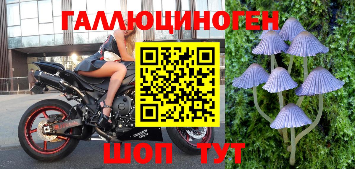 Бошки Шишки  ГАШ  Вход с VPN  Вейп ТГК  NBOMe  Морозовск  МЕФ кристаллы  Меф МЯУ МЯУ  Гашиш  МАРИХУАНА 