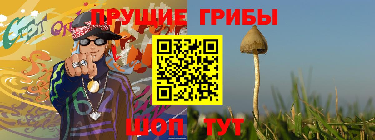 Псилоцибиновые грибы мицелий Морозовск