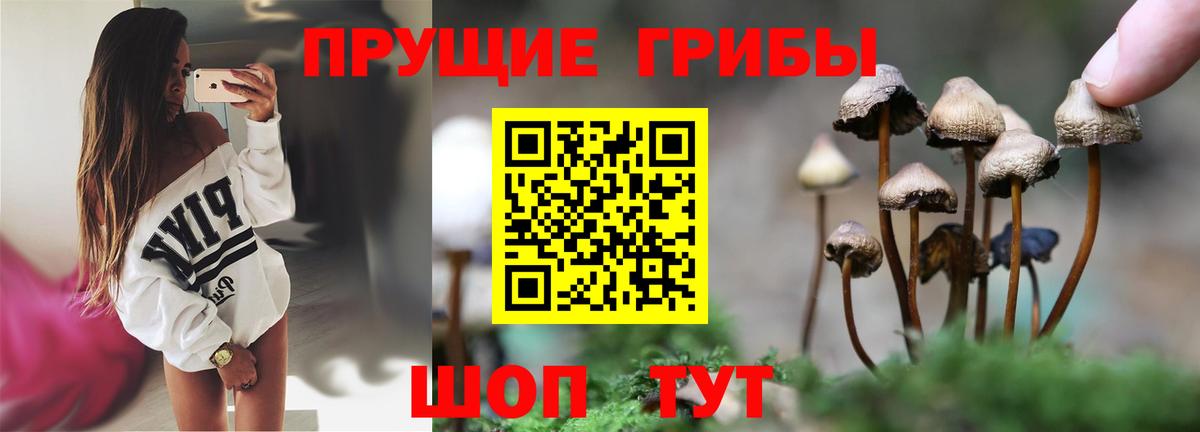 Галлюциногенные грибы GOLDEN TEACHER  Морозовск  Галлюциногенные грибы Cubensis 